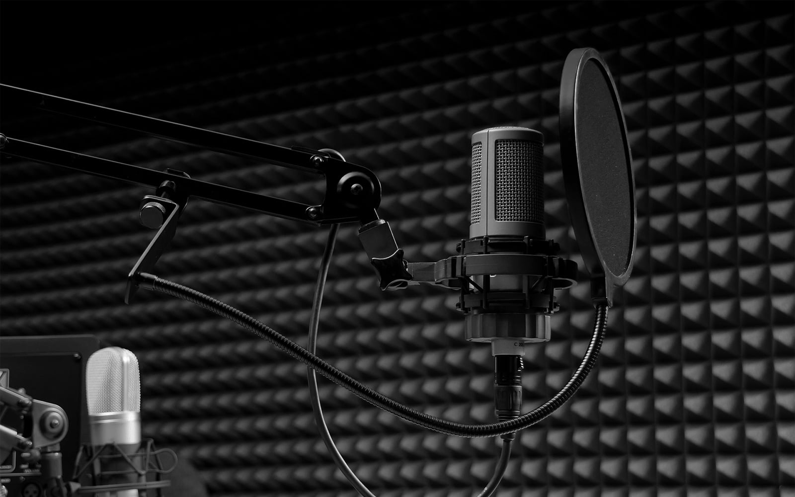 Locutor Para Campanha Política