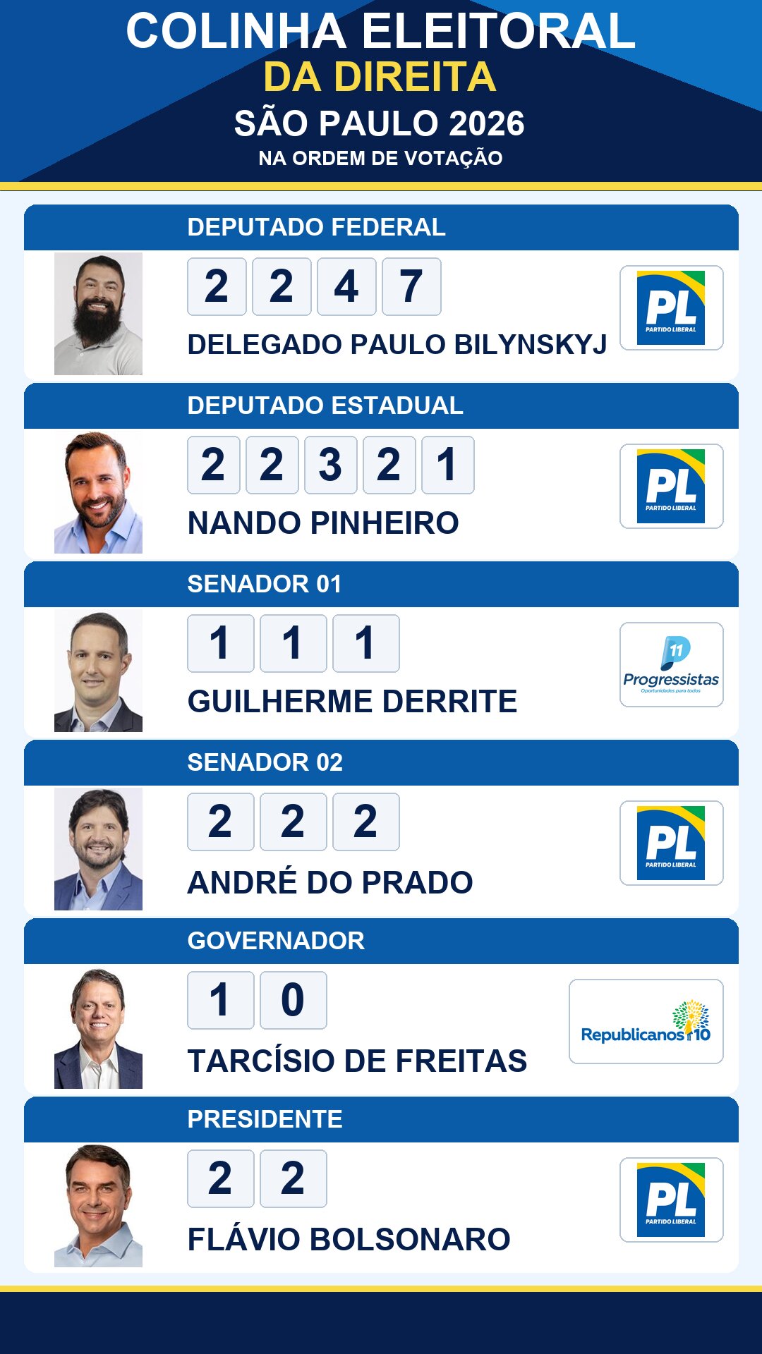 colinha eleitoral delegado paulo bilynskyj 2247