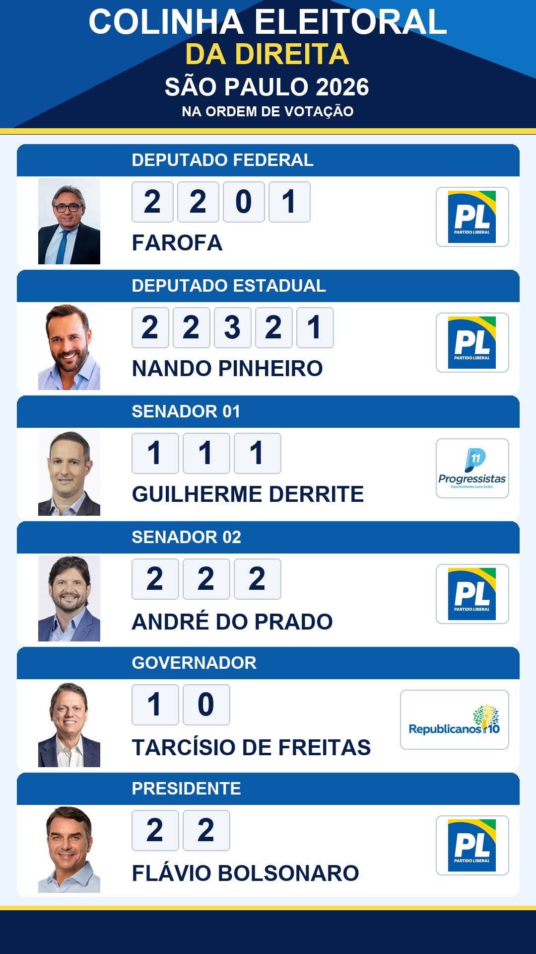 colinha eleitoral farofa 2201