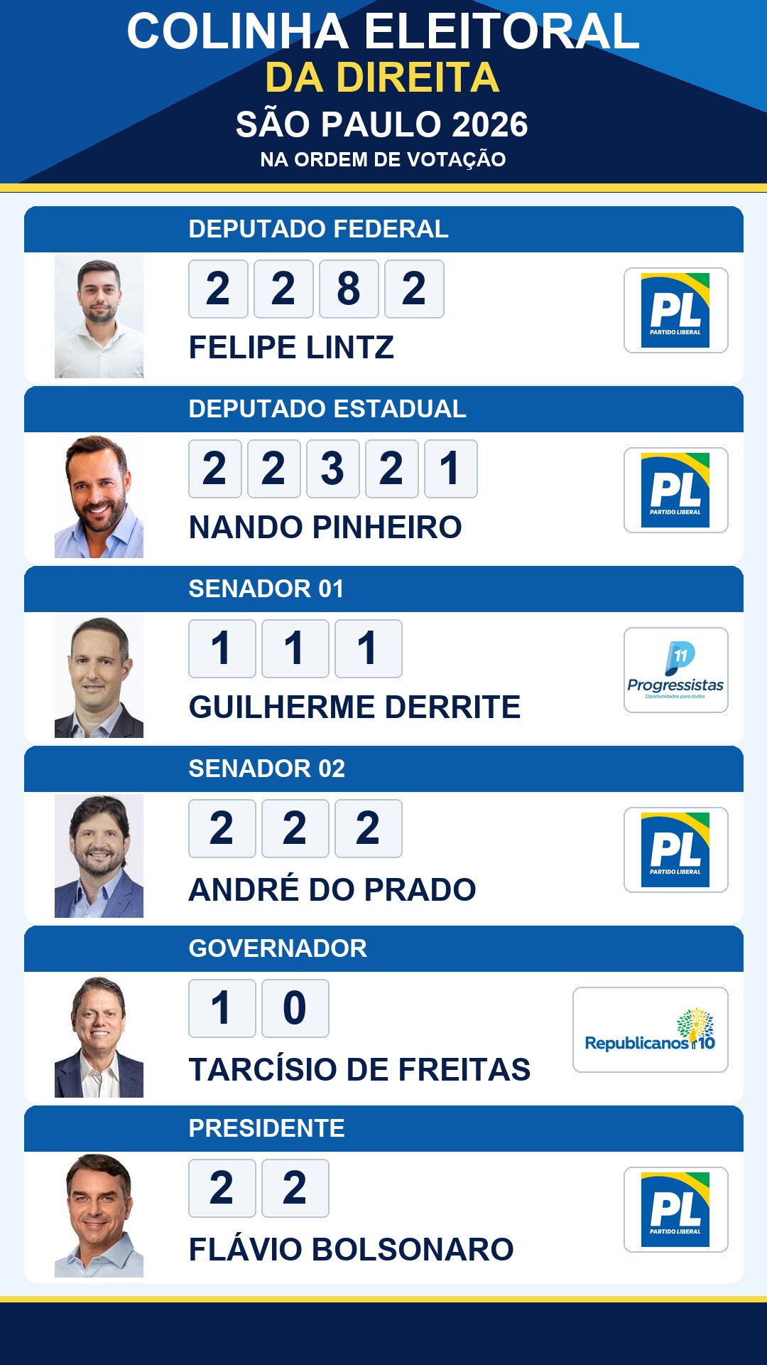 colinha eleitoral felipe lintz 2282