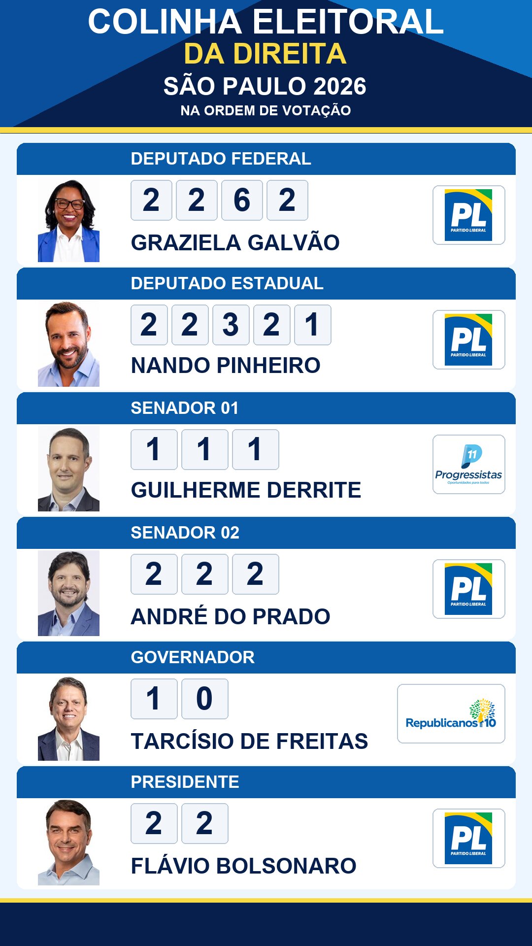 colinha eleitoral graziela galvao 2262