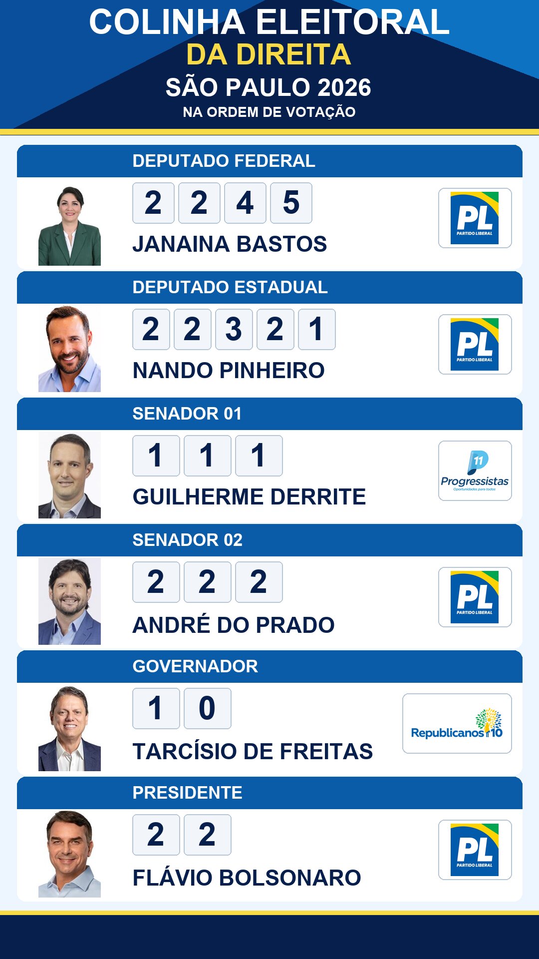 colinha eleitoral janaina bastos 2245