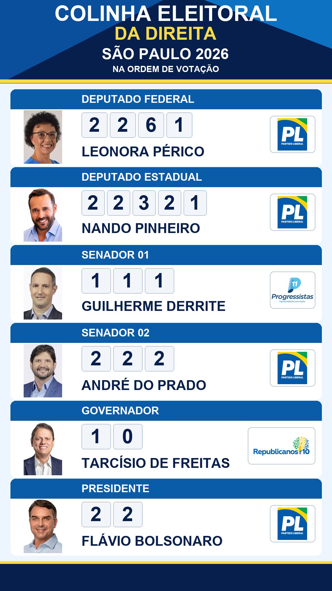 colinha eleitoral leonora perico 2261