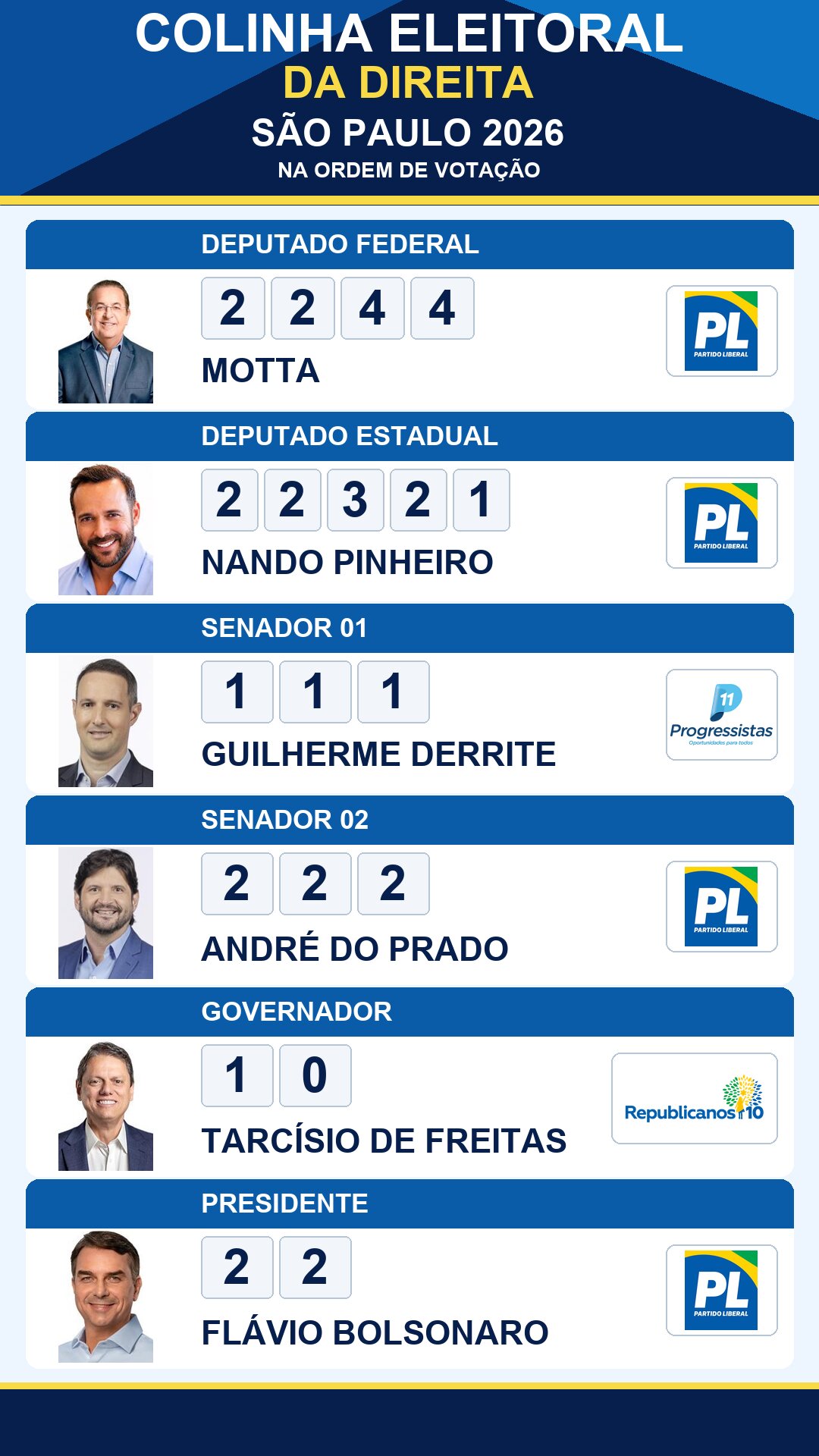 colinha eleitoral motta 2244