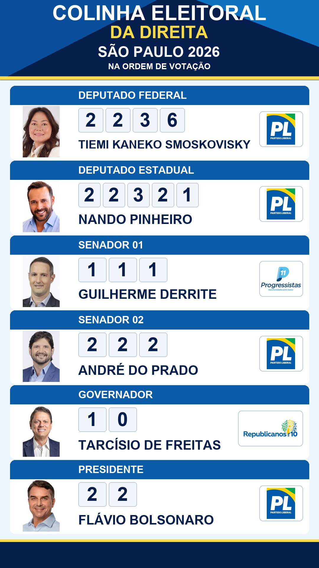 colinha eleitoral tiemi kaneko smoskovisky 2236