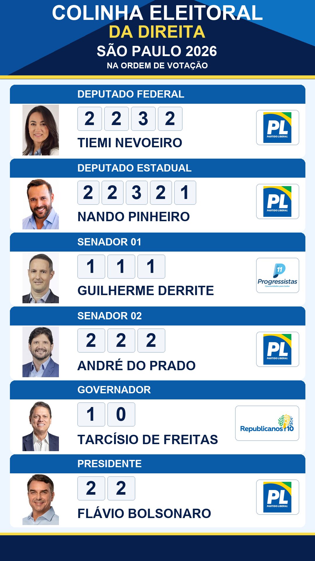 colinha eleitoral tiemi nevoeiro 2232