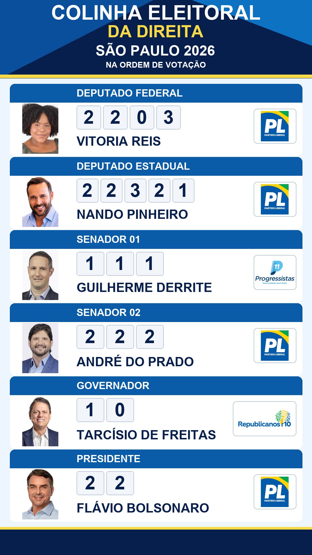colinha eleitoral vitoria reis 2203