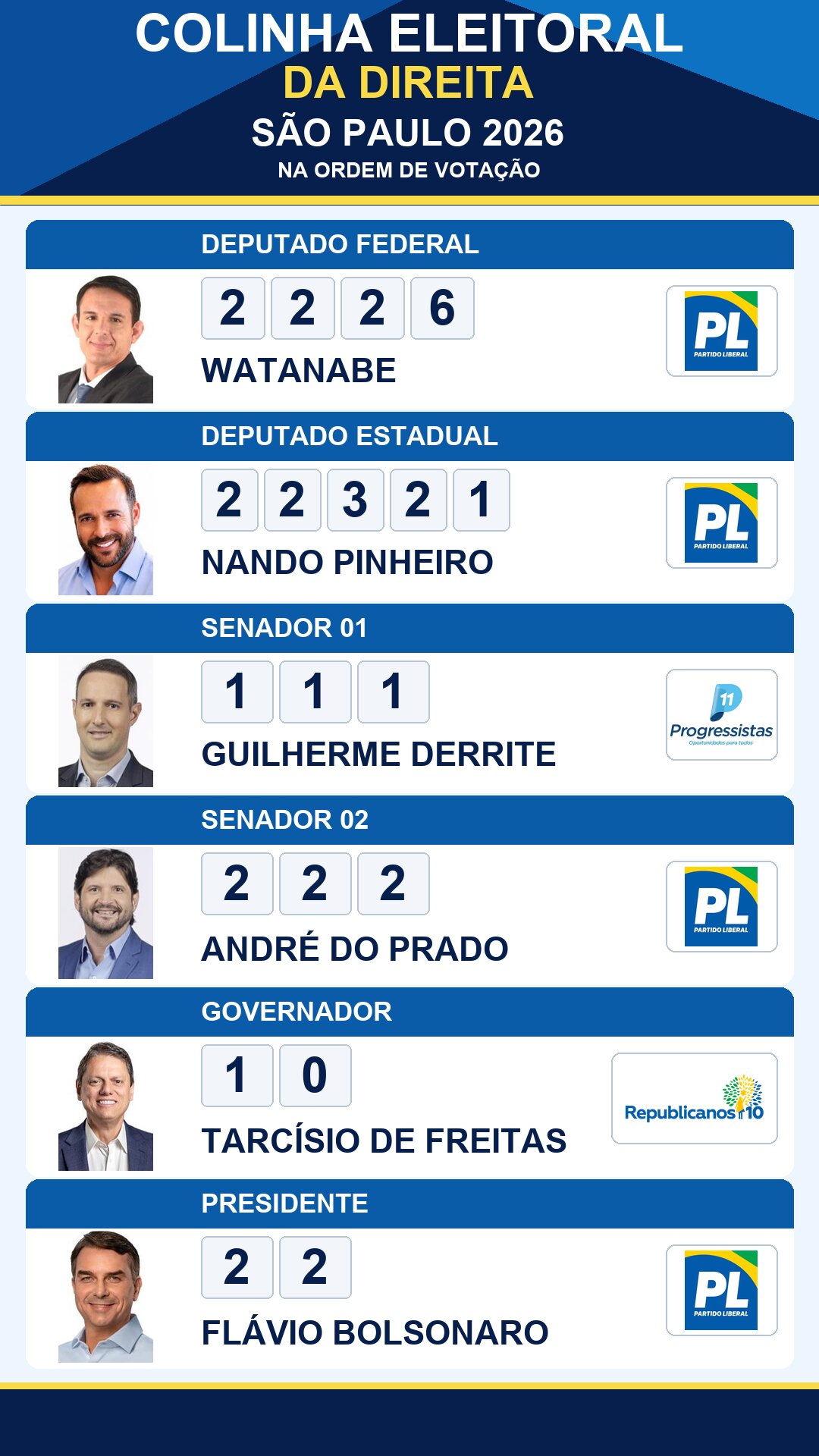 colinha eleitoral watanabe 2226